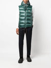 23FW Men's Louis Lo Down Padded Vest 1A00046 595ZZ867 BPG - MONCLER - BALAAN 5