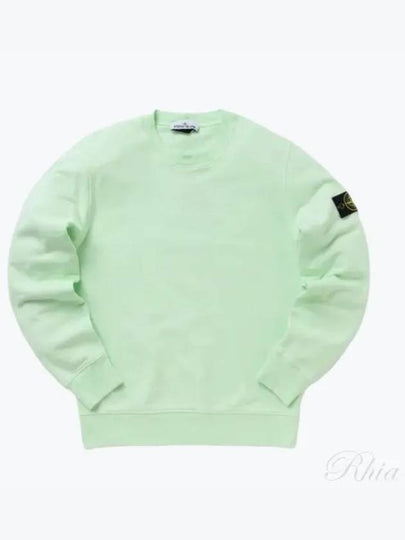 Wappen Patch Crew Neck Sweatshirt Green - STONE ISLAND - BALAAN 2