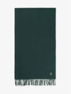 Bold Fox Head Double Face Scarf Green - MAISON KITSUNE - BALAAN 2