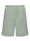 Oblique Shorts Green - DIOR - BALAAN 2