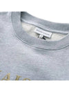 Fox Champion Regular Sweatshirt Grey - MAISON KITSUNE - BALAAN 5