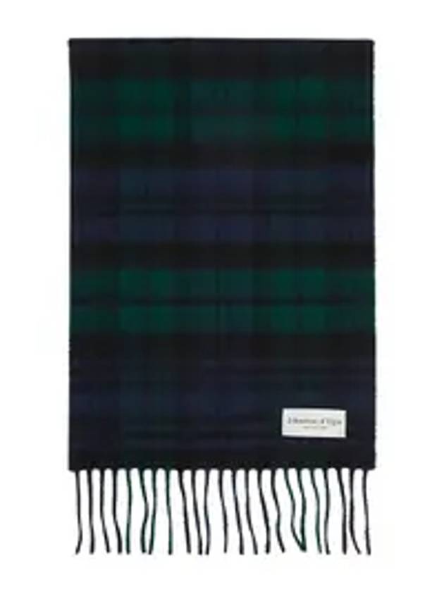 Iconic Tartan Cashmere Muffler Navy Green - JOHNSTONS OF ELGIN - BALAAN 1