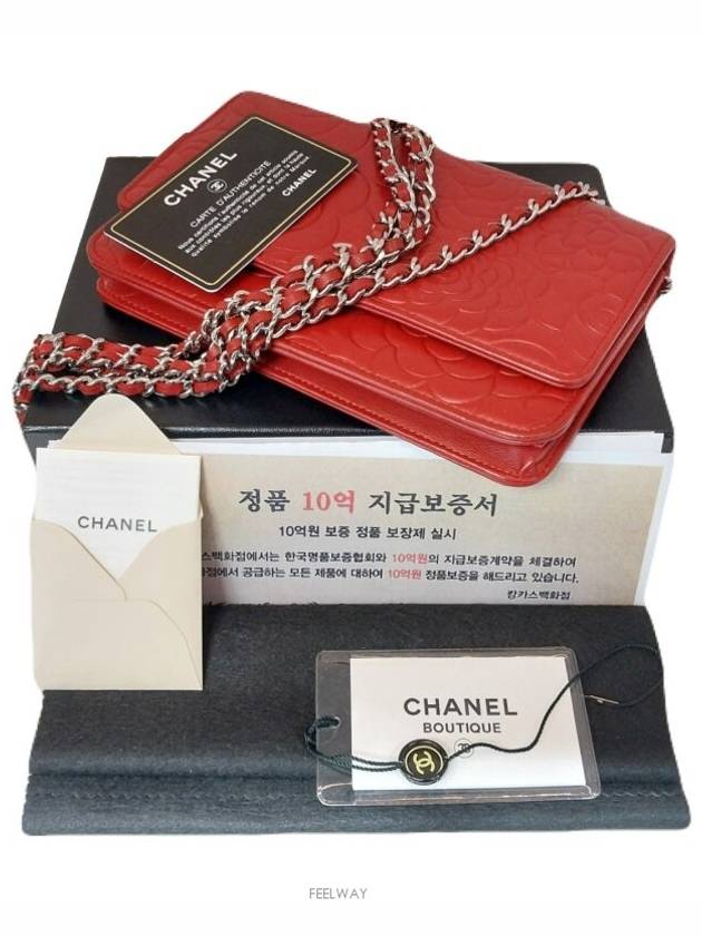 Camellia chain cross bag no 15 - CHANEL - BALAAN 8