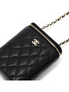 Classic chain cosmetic mini bag caviar black champagne gold AP2195 - CHANEL - BALAAN 2