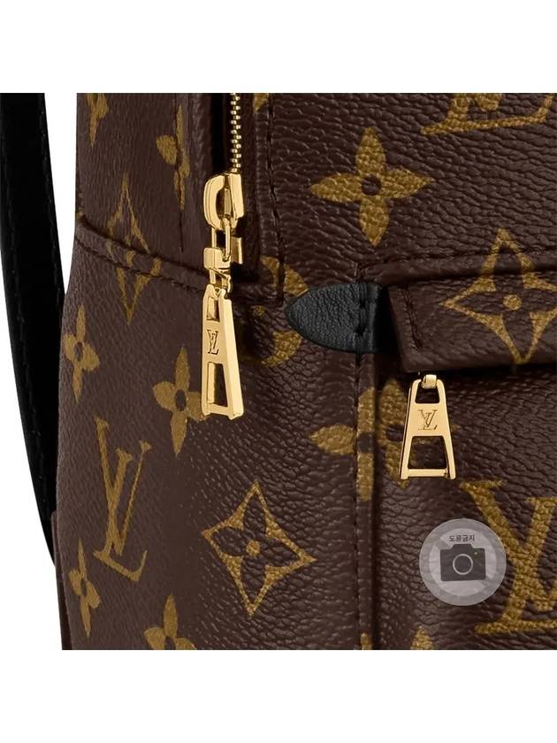 Palm Springs Monogram Mini Backpack Brown - LOUIS VUITTON - BALAAN 7