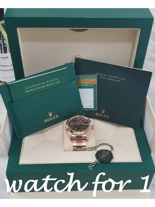 Rolex 18 Year Skydweller Choco Edition 326935 - ROLEX - BALAAN 6