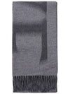 BLURRED Scarf F540257X18 1131 B0010971445 - LOEWE - BALAAN 3