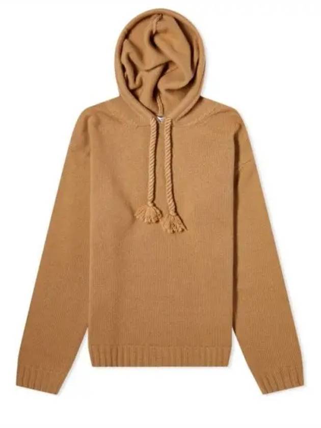 Women s Rienza Hooded Knit Brown - MAX MARA - BALAAN 1