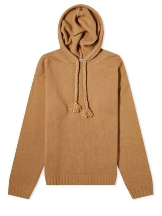 Women s Rienza Hooded Knit Brown - MAX MARA - BALAAN 1