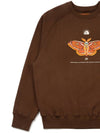 Gwangok Sweatshirt Brown I5WE03BR - IOEDLE - BALAAN 5