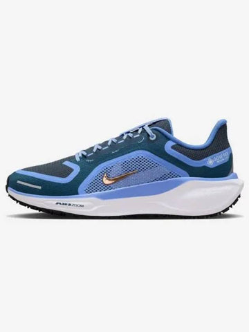 Women s Air Zoom Pegasus 41 GTX 400 - NIKE - BALAAN 1