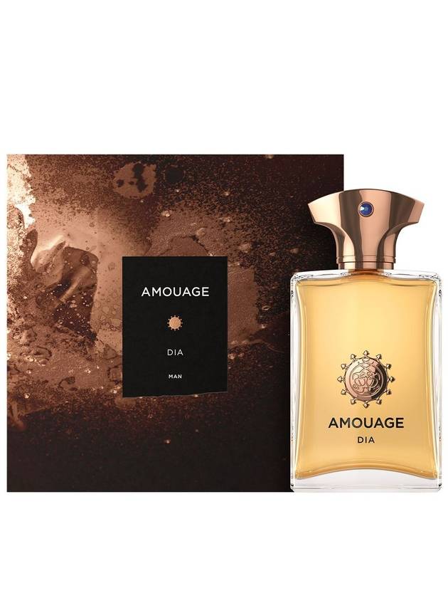 Dia Men EDP 100ml - AMOUAGE - BALAAN 3