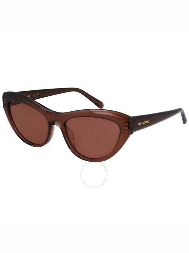 Salvatore Ferragamo Brown Cat Eye Ladies Sunglasses SF1103S 232 55 - SALVATORE FERRAGAMO - BALAAN 1