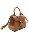 Brillant Rodeo Calf Vegetal Small Tote Bag Brown - DELVAUX - BALAAN 4