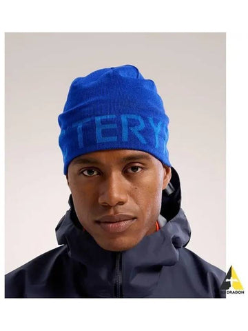 ARCTERYX WORD HEAD TORQUE VITALITY FLUIDITY AEOFUX7590 - ARC'TERYX - BALAAN 1