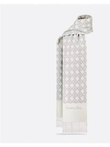 Christian Graphic Cannage Scarf Muffler Shawl 45CAN203I114 C088 - DIOR - BALAAN 1