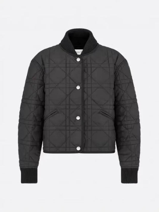 Macrocannage bomber jacket 447C77B2827 X9000 - DIOR - BALAAN 1