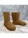 Classic Shorts 2 Winter Boots Chestnut - UGG - BALAAN 3