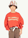 Kids Maroon Leo Sweatshirt F24124 252BG - THE ANIMALS OBSERVATORY - BALAAN 1