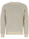 All-Over Logo Crew Neck Knit Top Beige - FENDI - BALAAN 1