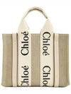 Woody Small Canvas Tote Bag Pink Beige - CHLOE - BALAAN 5