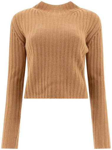 Aloa Wool Cashmere Cropped Knit Top Brown - MAX MARA - BALAAN 1