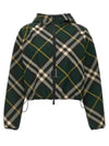 Check Pattern Zip-Up Hoodie Green - BURBERRY - BALAAN 2