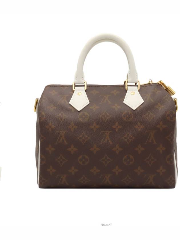 women tote bag - LOUIS VUITTON - BALAAN 3