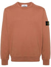 Wappen Patch Garment Dyed Sweatshirt Brown - STONE ISLAND - BALAAN 2