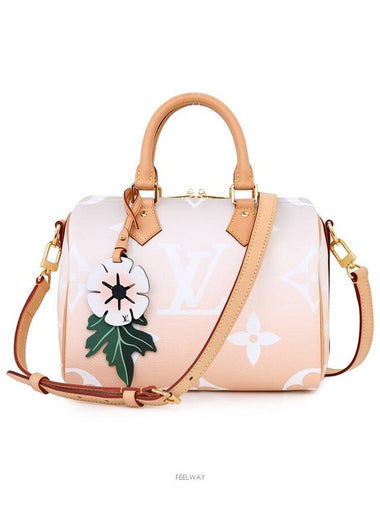 women tote bag - LOUIS VUITTON - BALAAN 1