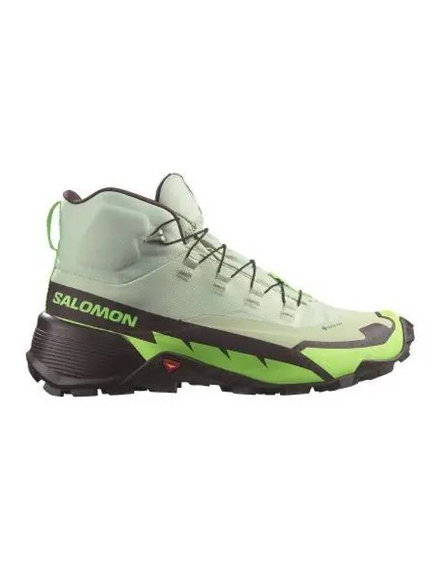 Cross Hike GTX 2 High Top Sneakers Desert Sage Green Gecko Chocolate - SALOMON - BALAAN 2