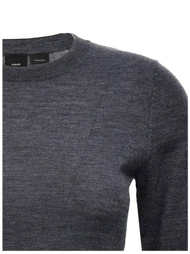 Pinko Sweater "Graspo" - PINKO - BALAAN 4