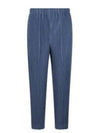 Compleat Straight Pants Blue - ISSEY MIYAKE - BALAAN 2