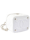 Women 22 Shinsegae Purchase Benetti Cosmetic Top Handle Bag CD5269 - CHANEL - BALAAN 3