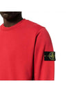 Wappen Patch Garment Dyed Sweatshirt red - STONE ISLAND - BALAAN 5