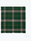 Check Print Wool Scarf Green - BURBERRY - BALAAN 2