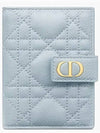 Cargo Vertical Calfskin Card Wallet Cloud Blue - DIOR - BALAAN 2