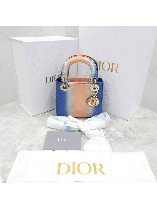 Lux You New Product Lizard Lady Limited Mini - DIOR - BALAAN 8