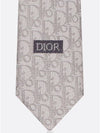 Oblique Stripe Silk Tie Grey - DIOR - BALAAN 6