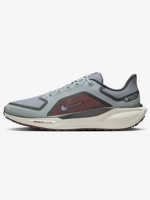 Air Zoom Pegasus 41 Gore Tex 003 - NIKE - BALAAN 1