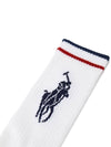 Logo embroidery socks 3 pack set 449723748001 - POLO RALPH LAUREN - BALAAN 5