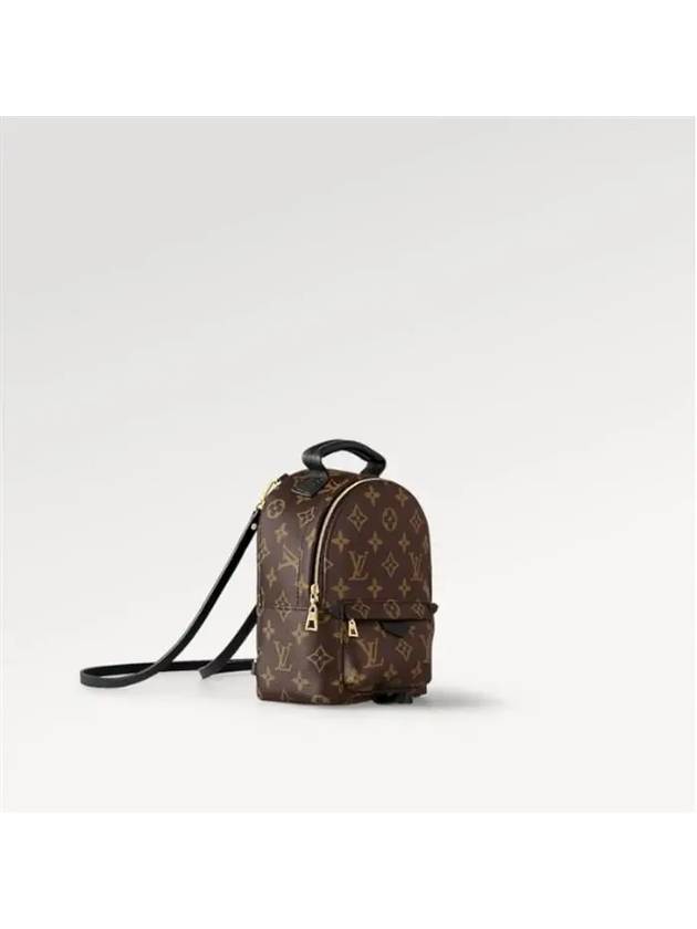 Palm Springs Monogram Mini Backpack Brown - LOUIS VUITTON - BALAAN 5