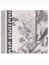 Toile De Jouy Flower Micha Scarf Grey - DIOR - BALAAN 3