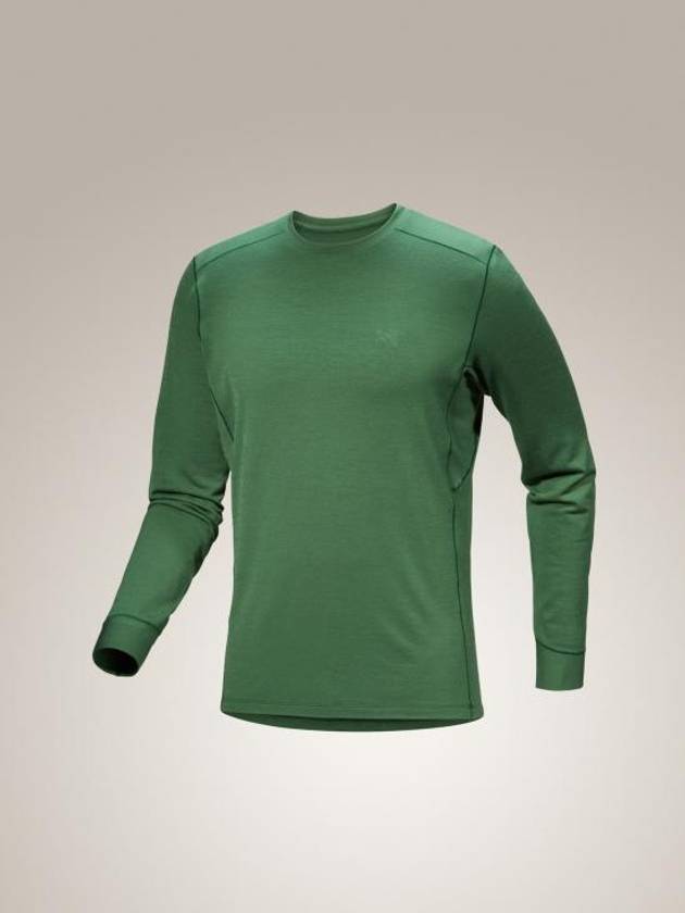 Raw Merino Wool Crew Neck Long Sleeve T-Shirt Eden - ARC'TERYX - BALAAN 2