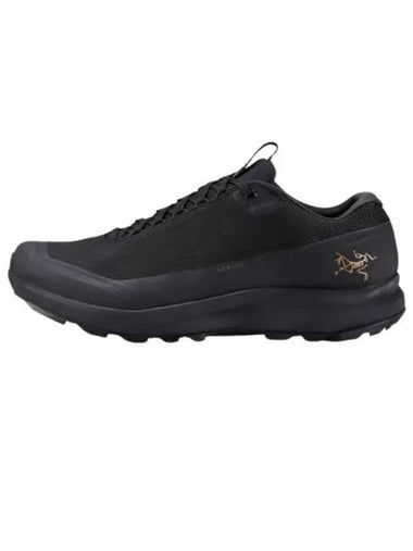 ARC TERYX Areas FL 2 GTX Woman AFOFWX6325BCB AERIOS W - ARC'TERYX - BALAAN 1