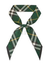 Vintage Check Pointed Tip Scarf Green - BURBERRY - BALAAN 2