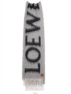 Logo Fringe Wool Mohair Scarf Grey - LOEWE - BALAAN 4