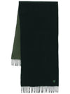 Bold Fox Head Double Face Scarf Green - MAISON KITSUNE - BALAAN 1