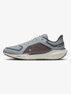 Pegasus 41 GTX M Light Pumice Burgundy Crush Dark Smoke Gray Asean Slate FQ1356 003 - NIKE - BALAAN 2