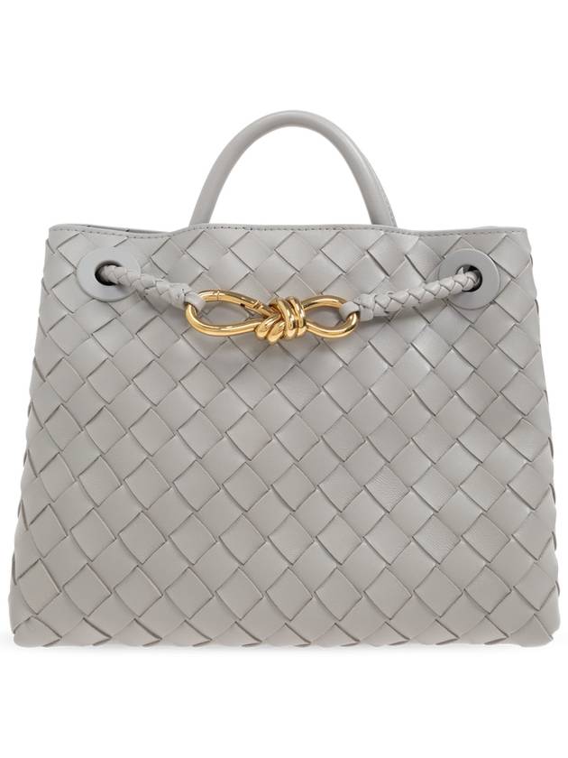 Bottega Veneta Shoulder Bag Andiamo Small, Women's, Grey - BOTTEGA VENETA - BALAAN 1